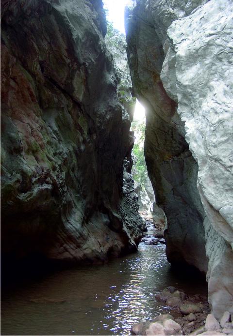Neda gorge
