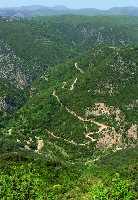 Snaky road