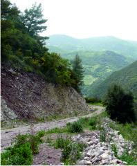Snaky road