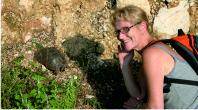 Tortoise