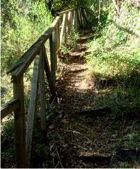 Zig-zag path