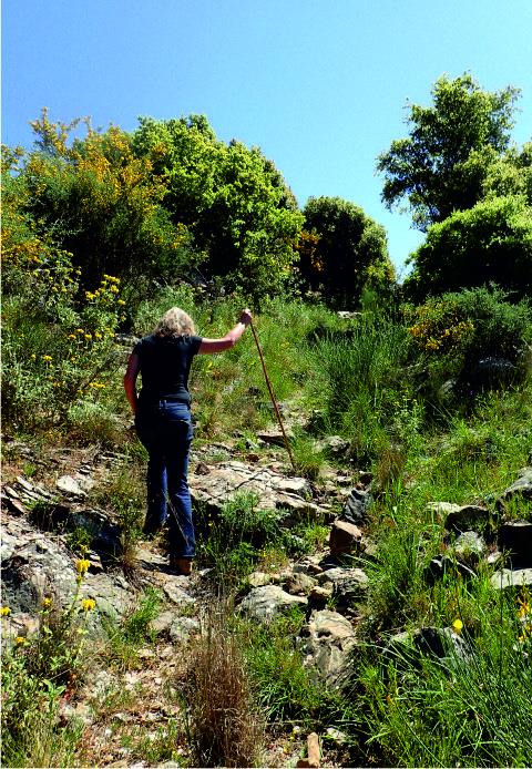 Heracles' well walk