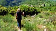Hercules' walk