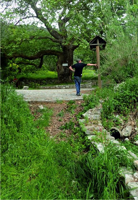 Athena Temple walk