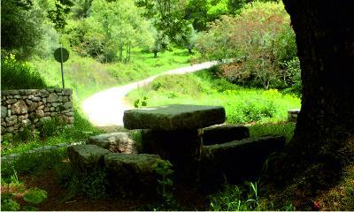 Stone picnic table
