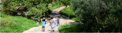 Leisurely walks