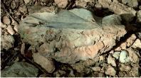 Worked stone