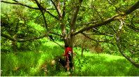 Dingley dell walk