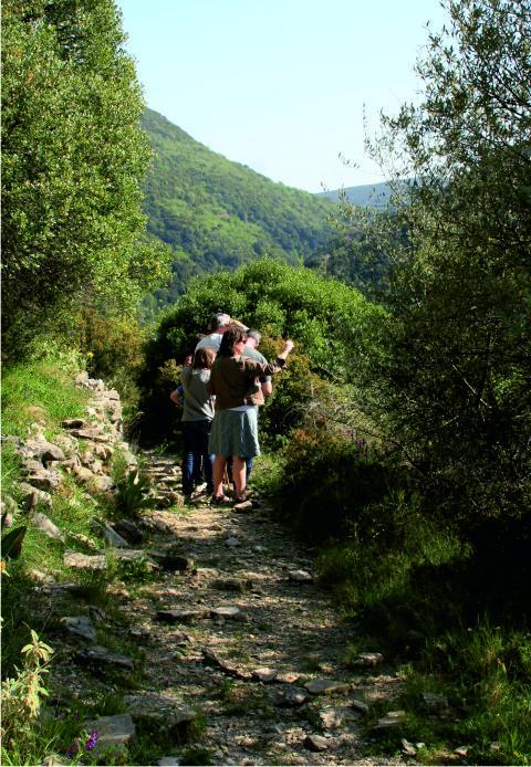 Goat path walk
