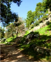 Castle grounds