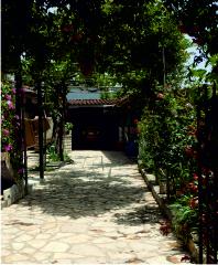 Drive leading to garage
