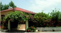 Flower garden