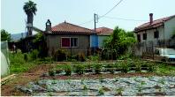 Vegetable garden