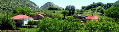 Village view