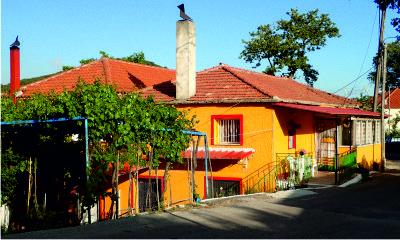 Orange house