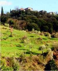 Village view