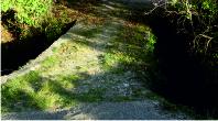 Ancient bridge