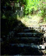 Village path