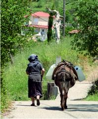 Woman and donkey
