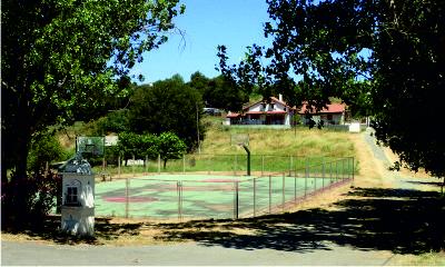 Basketball court