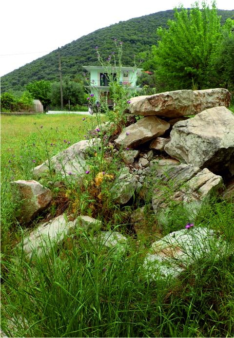 Mandra