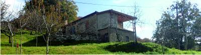 Traditional house