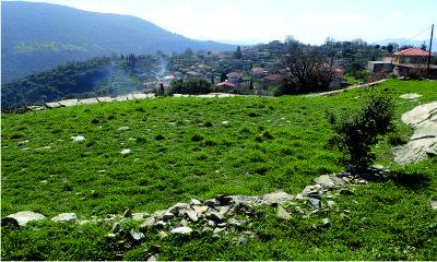 Stone threshing circle