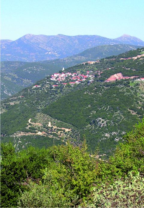 Platania