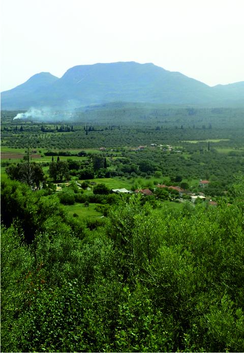 Polichni