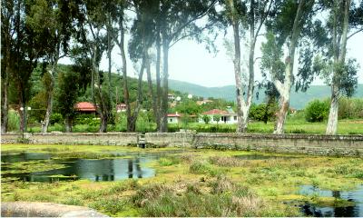 Stone seats overlooking a lake