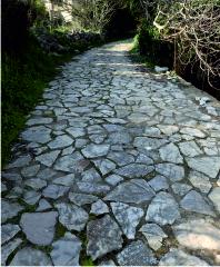 Cobbled road