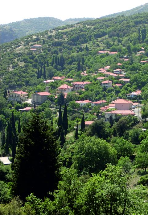 Vastas